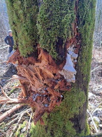 Ogled območja skalnega podora, 13.2.24 (arhiv OŠCZ) (2)-1800